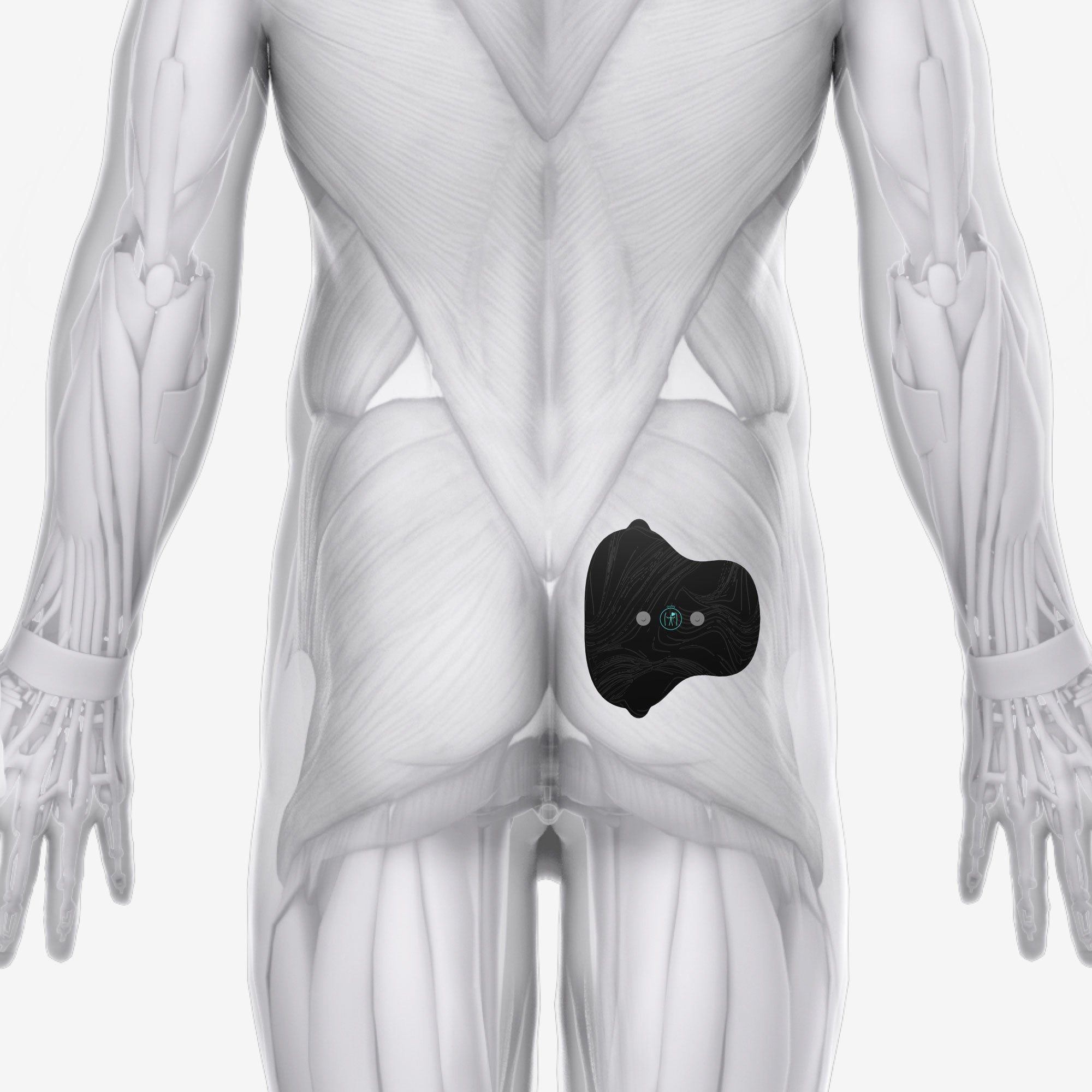 Halo Lower Body Bundle