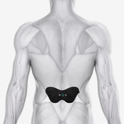Halo Lower Back Pad Set 6-Pack