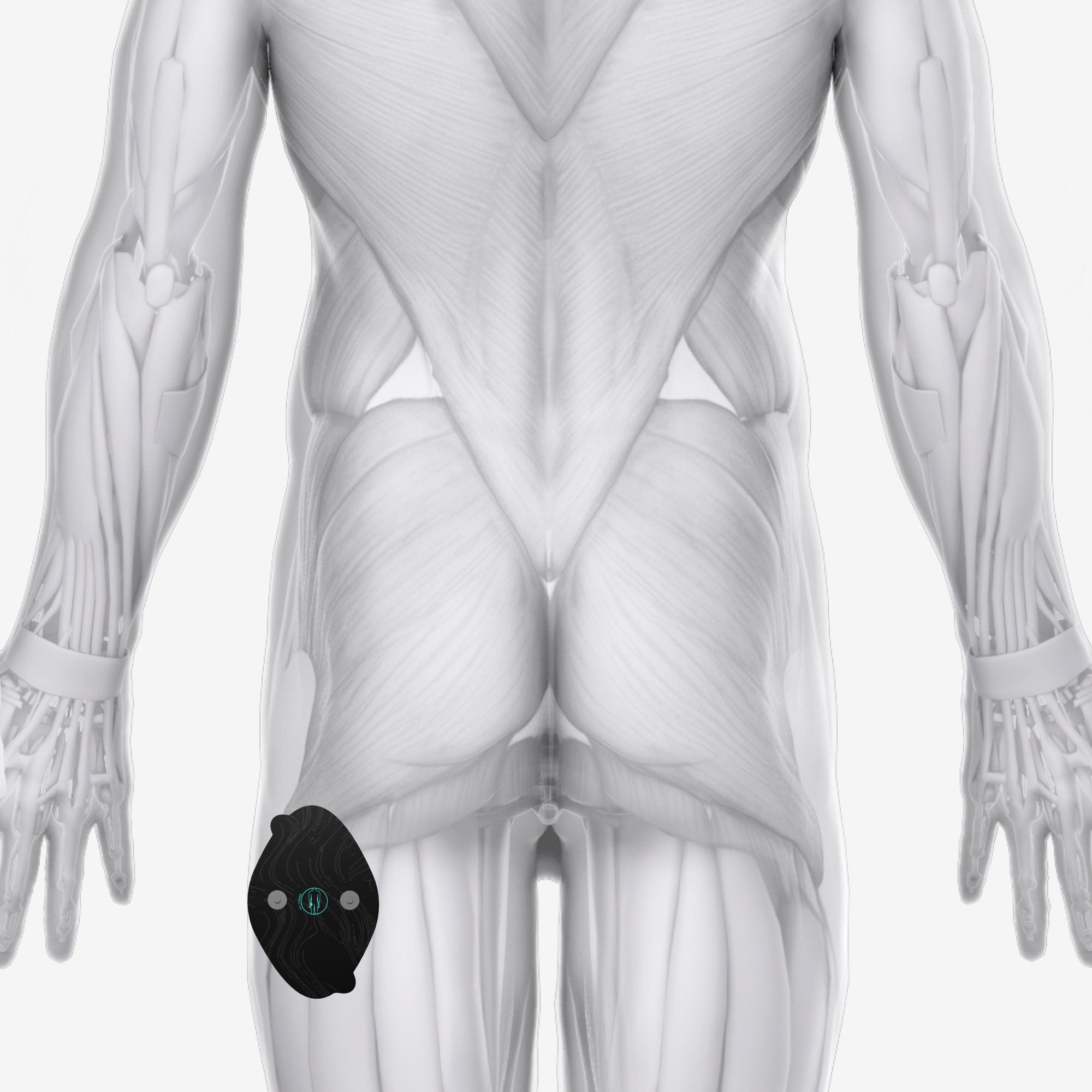 Halo Lower Body Bundle