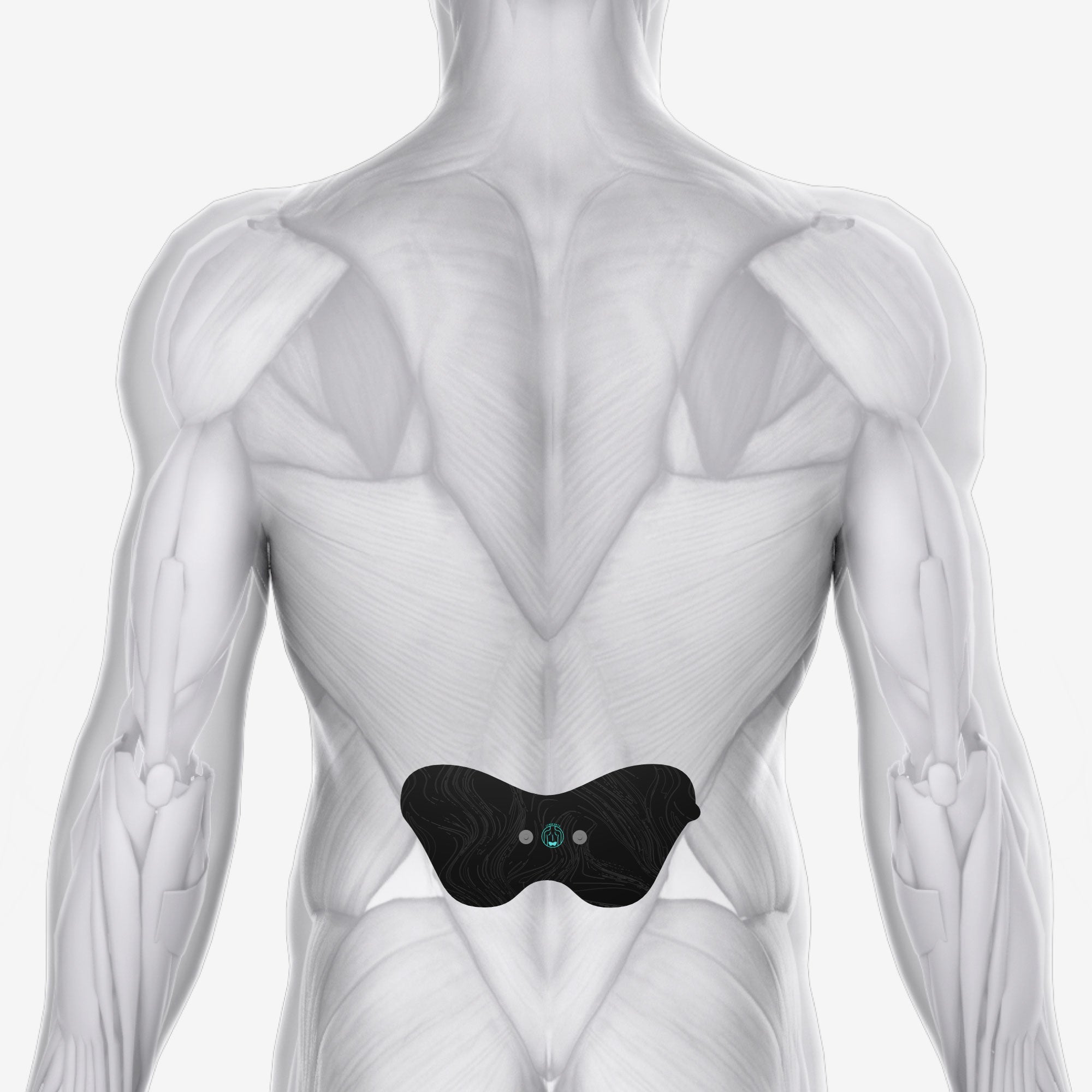 Halo Upper Body Bundle