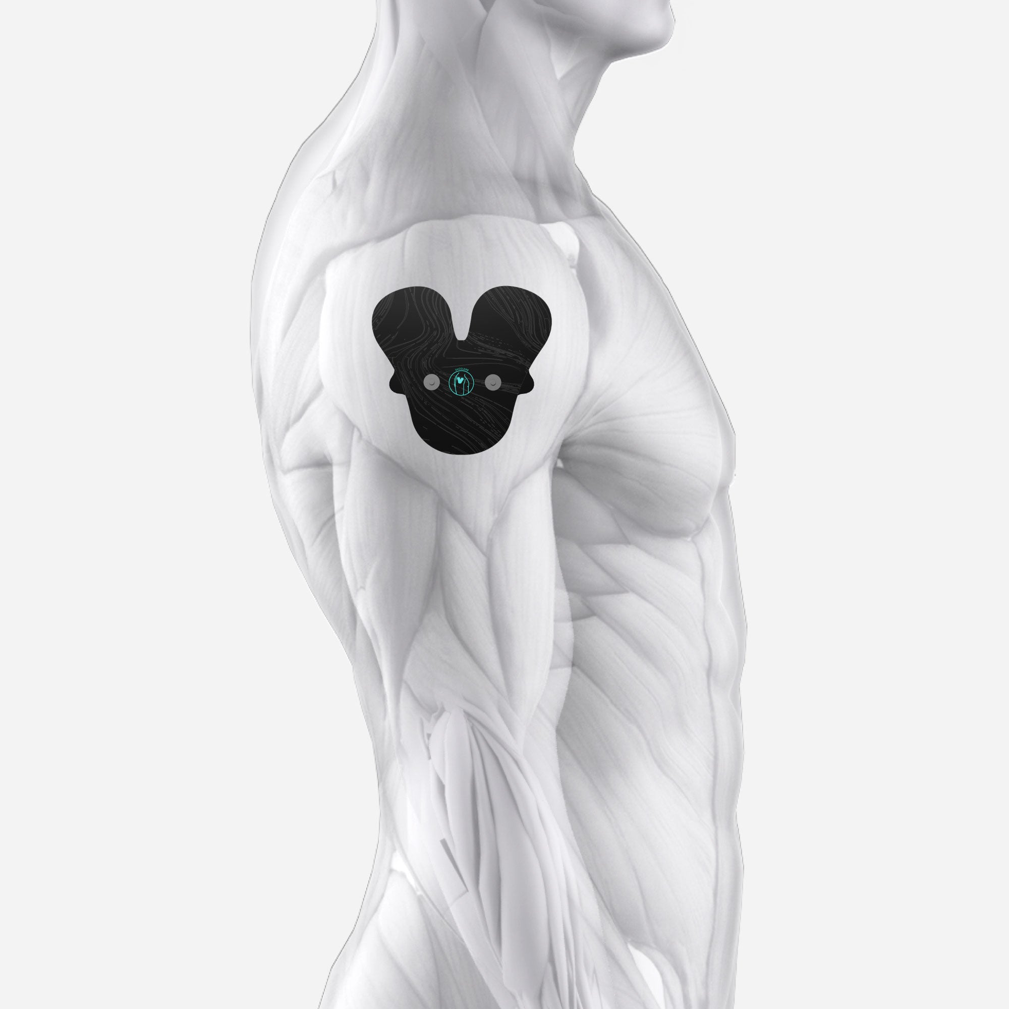 Halo Upper Body Bundle